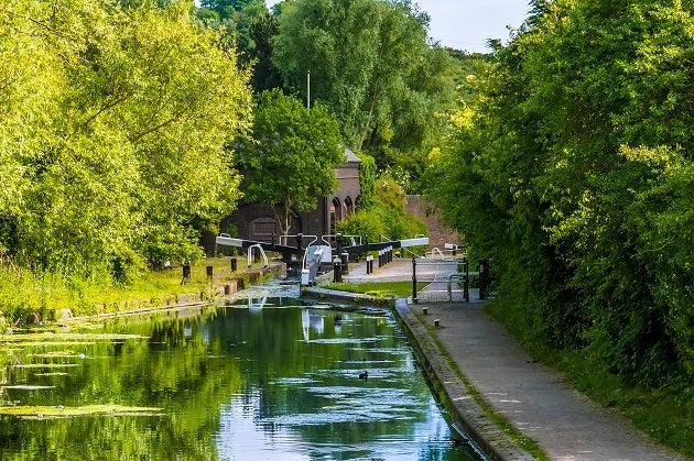 Photo of central Dudley canal, with surrounding trees and footpath